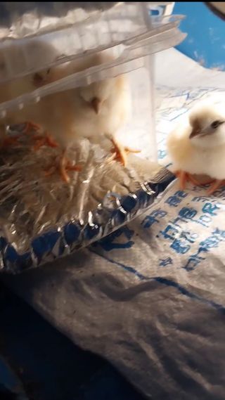 오영균 님의 자유주제 · 자유게시판 작성글 사진