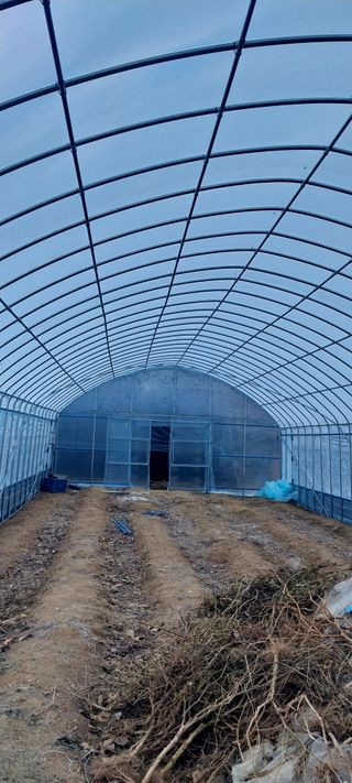 배추21924님의 하우스정보 · 시공사례•후기 작성글 사진