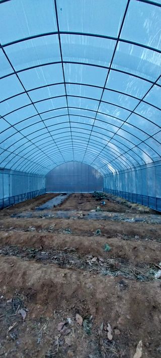 배추21924님의 하우스정보 · 시공사례•후기 작성글 사진