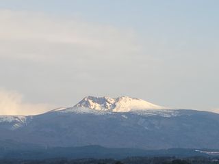 서귀포달코롬감귤농원님의 귤 · 일상 작성글 사진