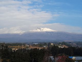서귀포달코롬감귤농원님의 귤 · 일상 작성글 사진