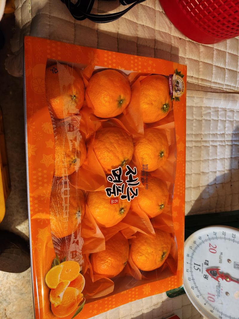 고권봉님의 장터 판매 상품 [레드향 당일 수확 5kg] 첨부 사진