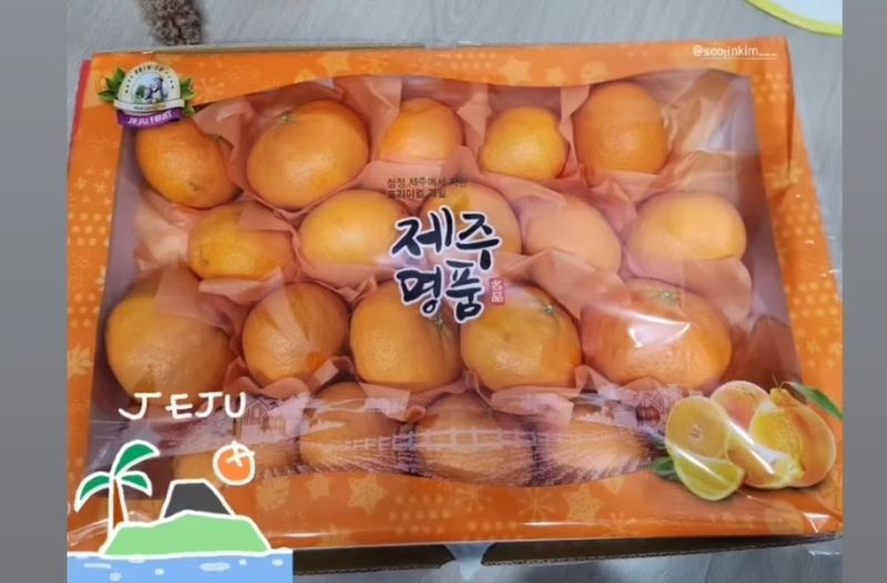 장터 상품 [레드향 당일 수확 5kg] 썸네일