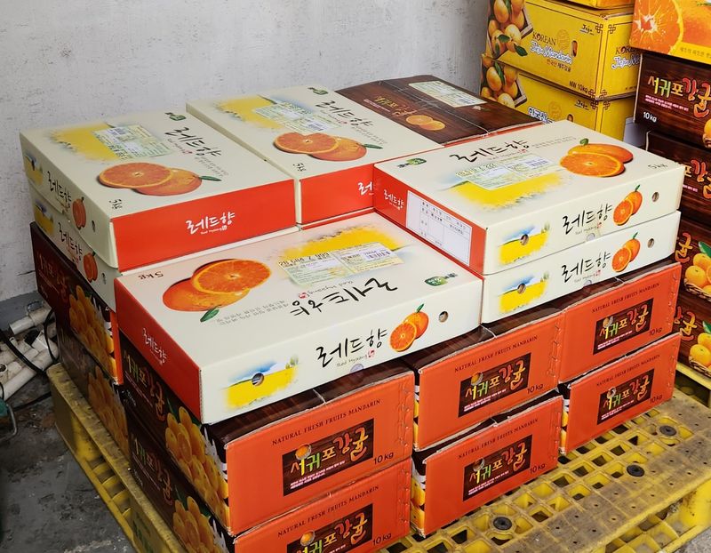 고권봉님의 장터 판매 상품 [레드향 당일 수확 5kg] 첨부 사진