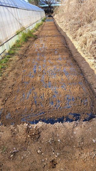 건달 농장(최승혁)님의 연말인사 함께 나눠요 · 참여글 작성글 사진
