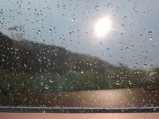 강정희님의 농사, 무엇이든 물어보세요! · 참여글 작성글 사진