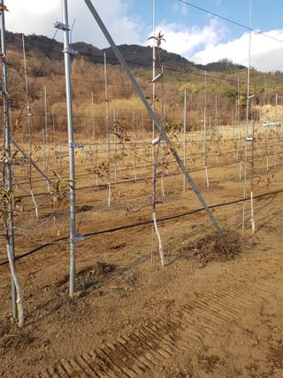 최희경님의 연말인사 함께 나눠요 · 참여글 작성글 사진