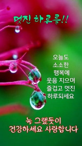 서안순님의 연말인사 함께 나눠요 · 참여글 작성글 사진
