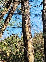 팜모닝 농사, 무엇이든 물어보세요!·참여글 게시글 이미지