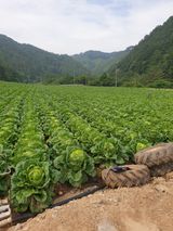 팜모닝 연말인사 함께 나눠요·참여글 게시글 이미지