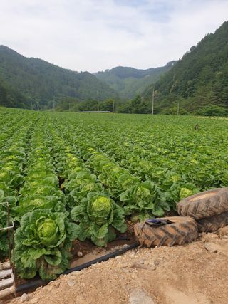 우주농원님의 연말인사 함께 나눠요 · 참여글 작성글 사진