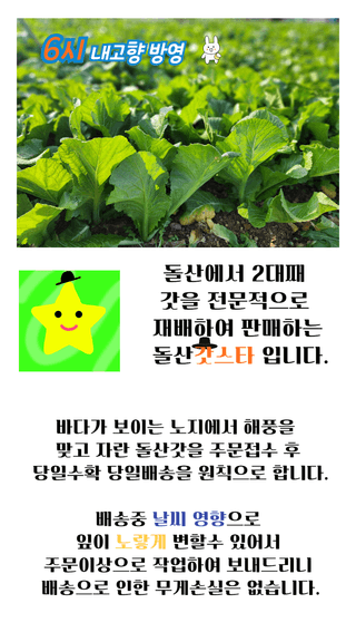 돌산갓스타님의 작성글 사진