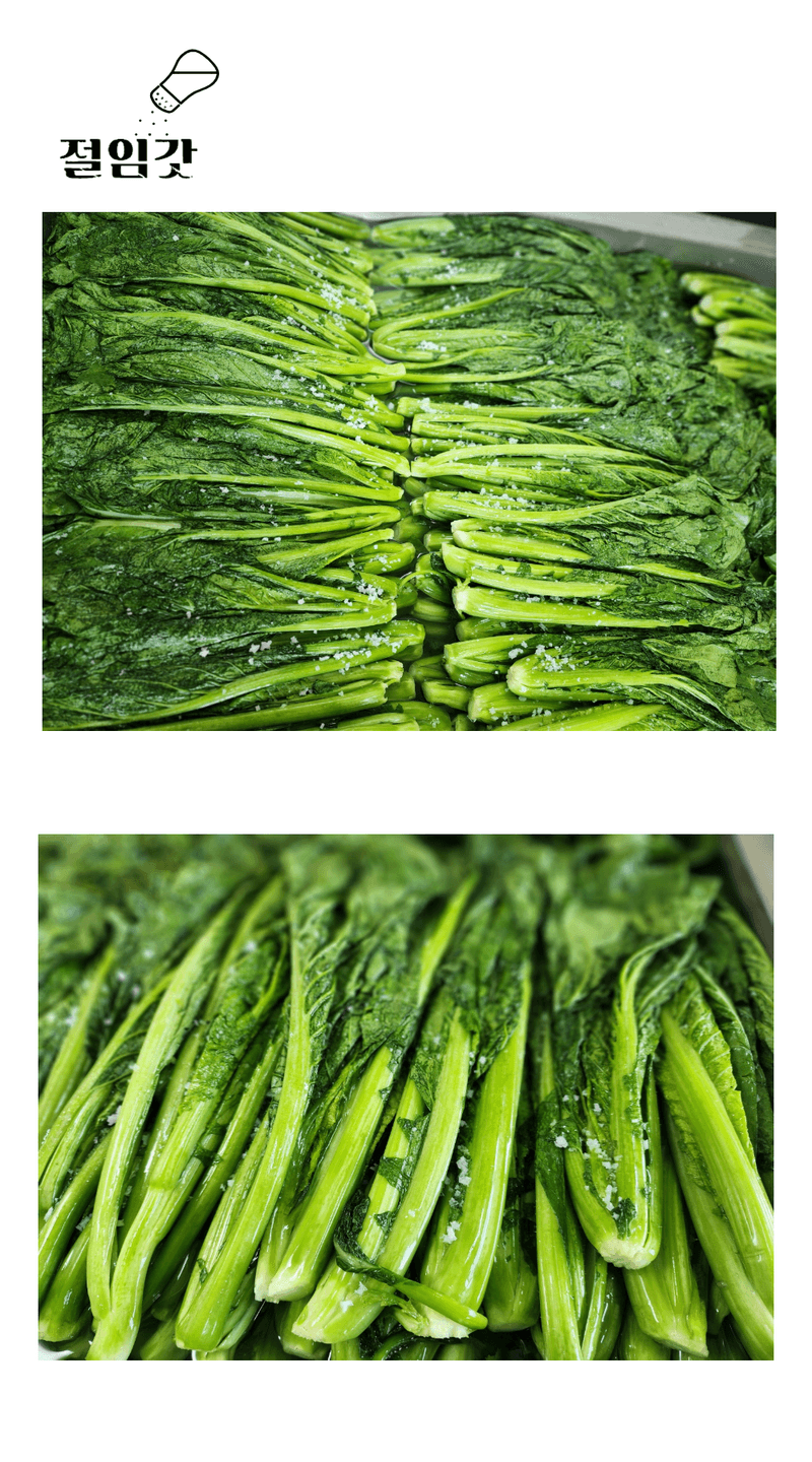 돌산갓스타님의 장터 판매 상품 [돌산절임갓  3KG] 첨부 사진