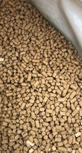 팜모닝 자유주제·칭찬해요 게시글 이미지