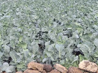 주)미산 조전무님의 자유주제 · 칭찬해요 작성글 사진