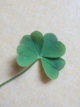 팜모닝 연말인사 함께 나눠요·참여글 게시글 이미지