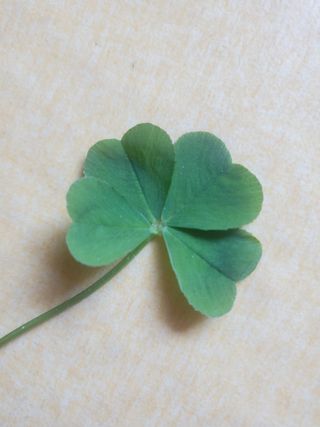 맑은가람님의 연말인사 함께 나눠요 · 참여글 작성글 사진