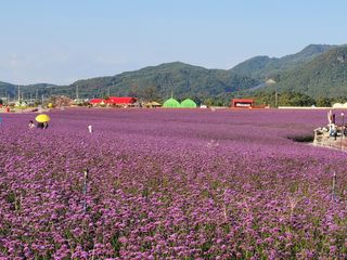 김형용님의 연말인사 함께 나눠요 · 참여글 작성글 사진