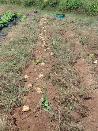 강규은님의 연말인사 함께 나눠요 · 참여글 작성글 사진