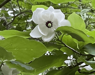 알 수 없음님의 연말인사 함께 나눠요 · 참여글 작성글 사진