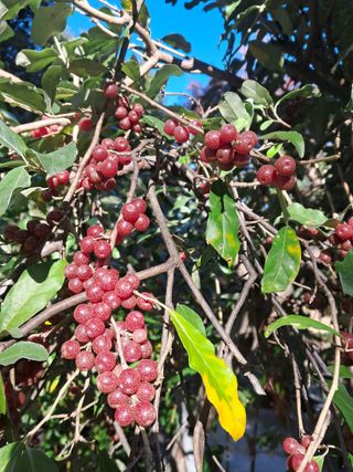 양배추19033님의 연말인사 함께 나눠요 · 참여글 작성글 사진