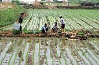 다둥이네농장님의 연말인사 함께 나눠요 · 참여글 작성글 사진