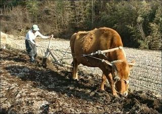 다둥이네농장님의 연말인사 함께 나눠요 · 참여글 작성글 사진