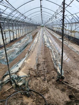 옥산면 출석합니다님의 팜모닝 · 출석 작성글 사진