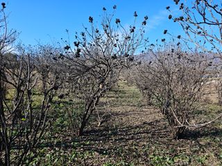 춘천바람개비님의 연말인사 함께 나눠요 · 참여글 작성글 사진