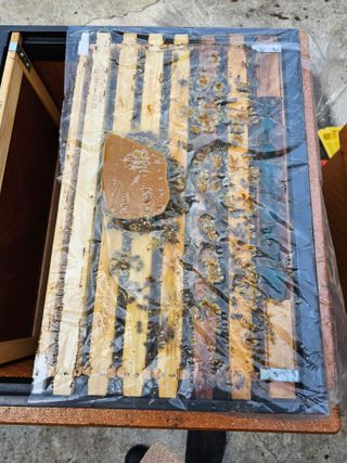 춘천바람개비님의 연말인사 함께 나눠요 · 참여글 작성글 사진