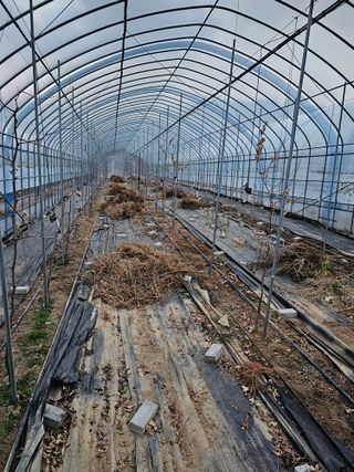 춘천바람개비님의 연말인사 함께 나눠요 · 참여글 작성글 사진