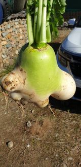 팜모닝 연말인사 함께 나눠요·참여글 게시글 이미지