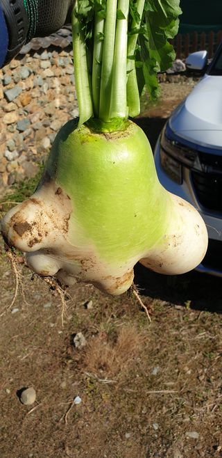 손두익 님의 연말인사 함께 나눠요 · 참여글 작성글 사진