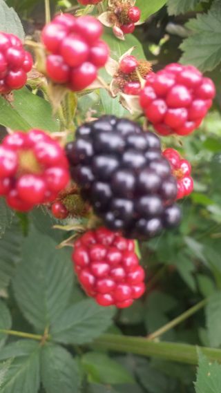 임수백 님의 연말인사 함께 나눠요 · 참여글 작성글 사진