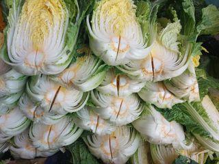 정연국님의 연말인사 함께 나눠요 · 참여글 작성글 사진