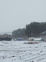 팜모닝 연말인사 함께 나눠요·참여글 게시글 이미지