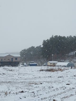 변영환 님의 연말인사 함께 나눠요 · 참여글 작성글 사진