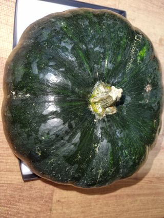 이동형님의 연말인사 함께 나눠요 · 참여글 작성글 사진