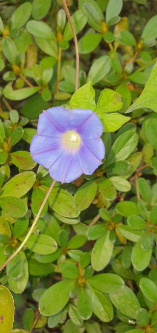 행복한사피님의 연말인사 함께 나눠요 · 참여글 작성글 사진