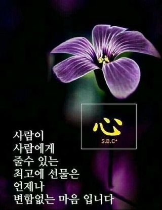 이영숙님의 연말인사 함께 나눠요 · 참여글 작성글 사진