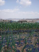 팜모닝 연말인사 함께 나눠요·참여글 게시글 이미지