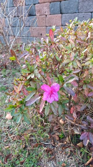 김대한님의 우리동네 · 동네정보 작성글 사진