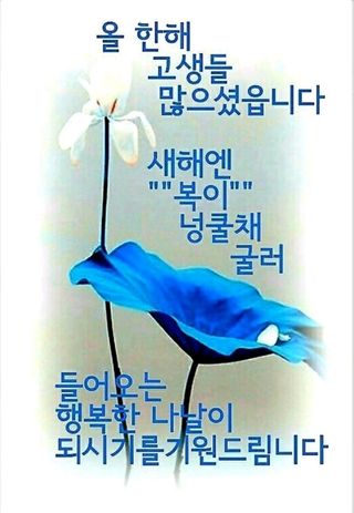 이영숙님의 연말인사 함께 나눠요 · 참여글 작성글 사진