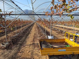 백년농원님의 연말인사 함께 나눠요 · 참여글 작성글 사진