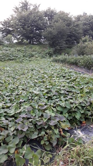 박제선님의 연말인사 함께 나눠요 · 참여글 작성글 사진