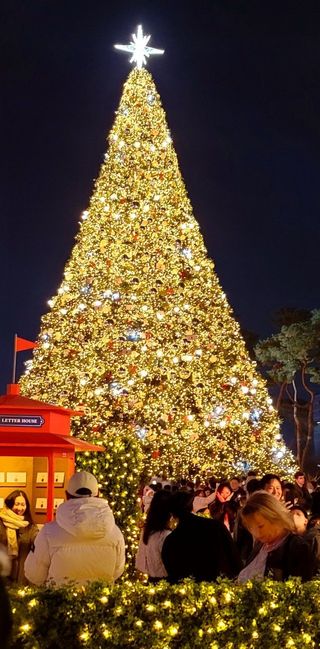 박세은님의 연말인사 함께 나눠요 · 참여글 작성글 사진