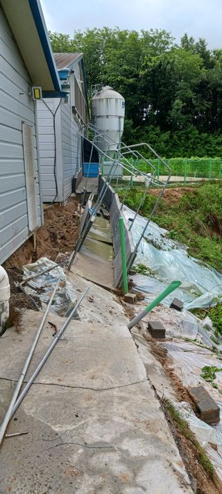 산양 위만(엄문섭)님의 연말인사 함께 나눠요 · 참여글 작성글 사진