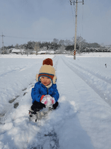 팜모닝 연말인사 함께 나눠요·참여글 게시글 이미지