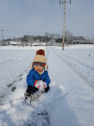 꼬들배기0987님의 연말인사 함께 나눠요 · 참여글 작성글 사진