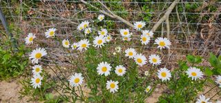 실크로드님의 연말인사 함께 나눠요 · 참여글 작성글 사진